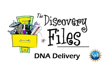 overstuffed filing cabinet with text The Discovery Files