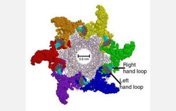 Illustration of three dimensional structure of the DNA packaging nanomotor of bacterial virus phi29.