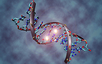 representation of a DNA molecule