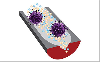A new sensor can distinguish infectious viruses from noninfectious ones.