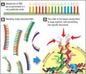 Illustration showing the new Essemblix nano-manufacturing technology.