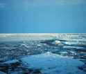 Photo of melting ice sheets in the Arctic.