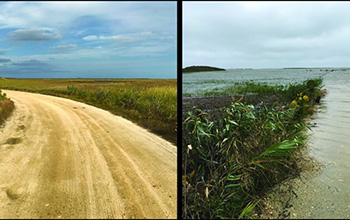 Edwin B. Forsythe National Wildlife Refuge