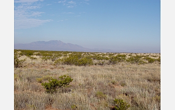Ecosystems from deserts to rivers are found at the Sevilleta, N.M., LTER site.