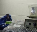 hand holding a sample of water with algae for testing in a lab