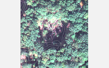Photo of a gap in the forest canopy with contours superimposed on the image.
