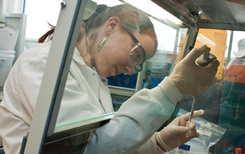 Photo of graduate student Mary-Catherine Leewis preparing a soil sample for testing.