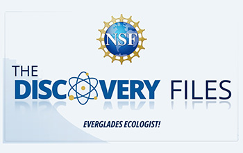 discovery files banner logo