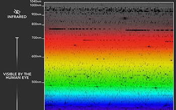An image of NEID's spectroscopic observations of the Sun