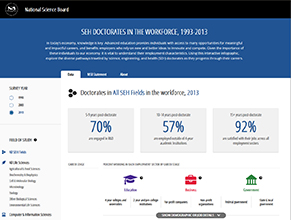 SEH Doctorates in the workforce, 2002-2013