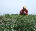 Researcher Patrick Kearns fills tubes of mud to look at microbes' responses to nutrients.