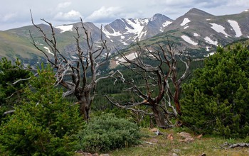 The Colorado Front Range viewed from the Niwot Ridge LTER site.