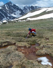 Scientists collect water samples during snowmelt season at the Saddle site at Niwot Ridge.