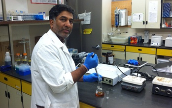 Ramesh Goel working in his lab