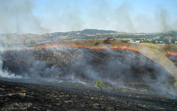 Hillside grassfire in Rapid City, S.D., burned within 30 feet of a weather forecast office.