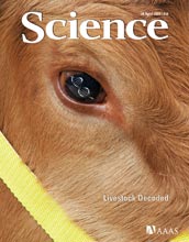 Cover of April 24, 2009 issue of Science