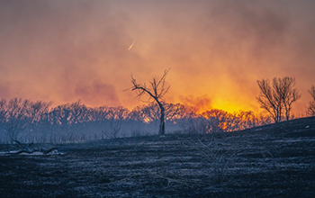 the sun sets over a prescribed burn at the Konza Prairie Biological Station