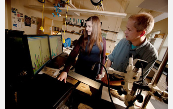 The scientists peer at a fish fossil.