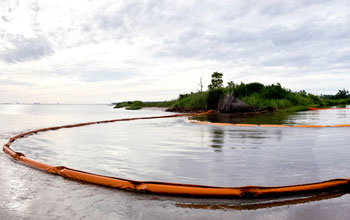 Photo of a marsh with its boomed entrance at Belle Fontaine Point, Miss.