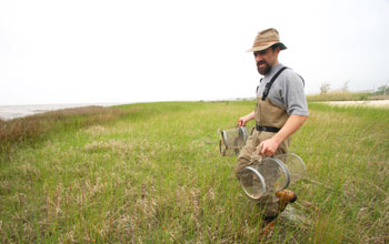 Photo of biologist Andrew Whitehead at the Bay St. Louis field site.