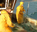 Photo of a fisherman in rain gear working on a net.