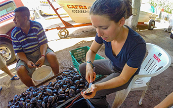 Kara Pellowe conducting fisheries research in Mexico alongside clam harvesters