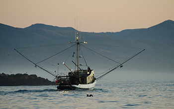 fishing boat