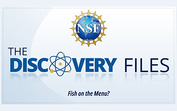 discovery files banner logo