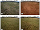 Impact of a flash drought compared with photos of the same area without flash drought (bottom row).