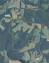 agricultural lands and forest with study area highlighted in yellow.