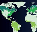 Illustration showing forest distribution on the Earth's landmass.