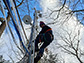 Scientist Daniel Obrist climbs a tower in Harvard Forest to measure mercury deposition.