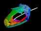 CT image showing an adult albanerpetontid skull