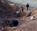 Photo of scientists looking for fossil evidence of Tiktaalik on Ellesmere Island, Canada.