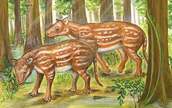 life reconstruction of Cambaytherium