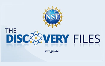 discovery files banner logo