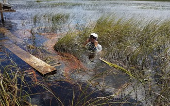 Researcher standing in water up to his shoulders