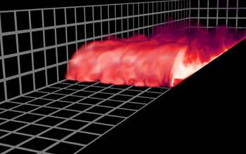 Visualization of the concentration field in a gravity current