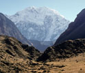 Photo of glacier in background and ice-free areas in foreground.