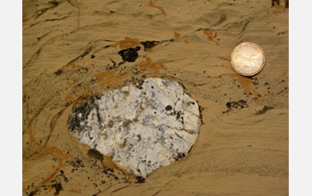 Photo of a glacially deposited rock fragment with a coin for scale.