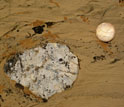 Photo of a glacially deposited rock fragment with a coin for scale.