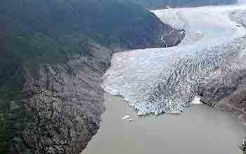Aerial photo of new forests above the shrinking Mendenhall Glacier.