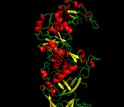 Illustration of protein structure of an eukaryotic enzyme using X-ray crystallography