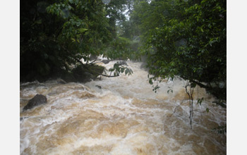 Photo showing a raging torrent of water overflowing its banks in Puerto Rico.