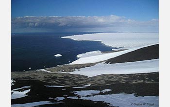 Photo of Ross Ice Shelf at Cape Crozier.