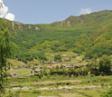 Photo of farms with forest-covered hills in background.