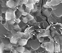 graphene platelets around silicon nitride grain boundaries.