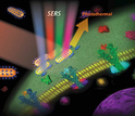 Nanostructural materials