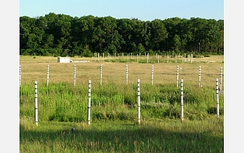 Using field plots, scientists test ecosystem responses to increased carbon dioxide levels.