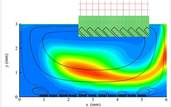 Computer simulation of the coupling between nutrient transport and uptake in the small intestine.